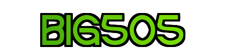 BIG505 Logo